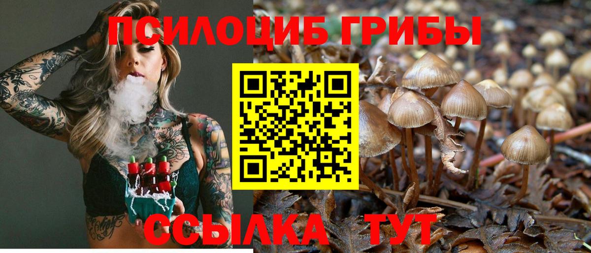 Псилоцибиновые грибы мухоморы  Вход с VPN  Пугачёв  Псилоцибиновые грибы прущие грибы 